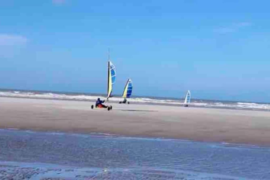 Apartment Dunes De Nala: Beachfront Balcony With Dune & Sea Views Fort-Mahon-Plage