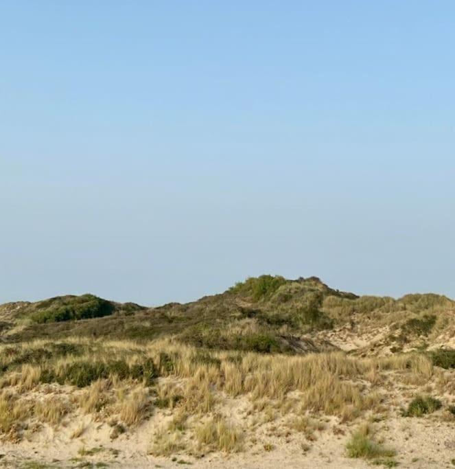 Apartment Dunes De Nala: Beachfront Balcony With Dune & Sea Views *