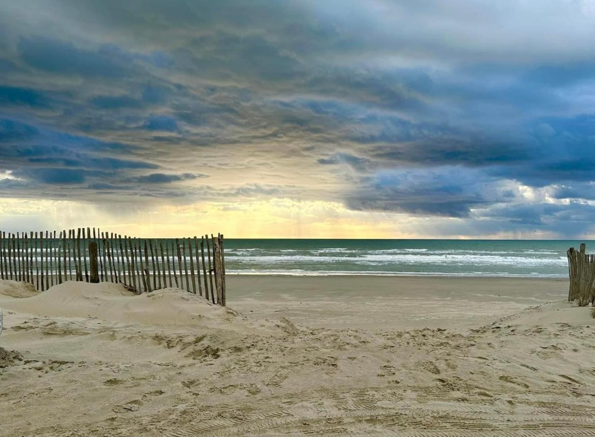 Dunes De Nala: Beachfront Balcony With Dune & Sea Views Fort-Mahon-Plage